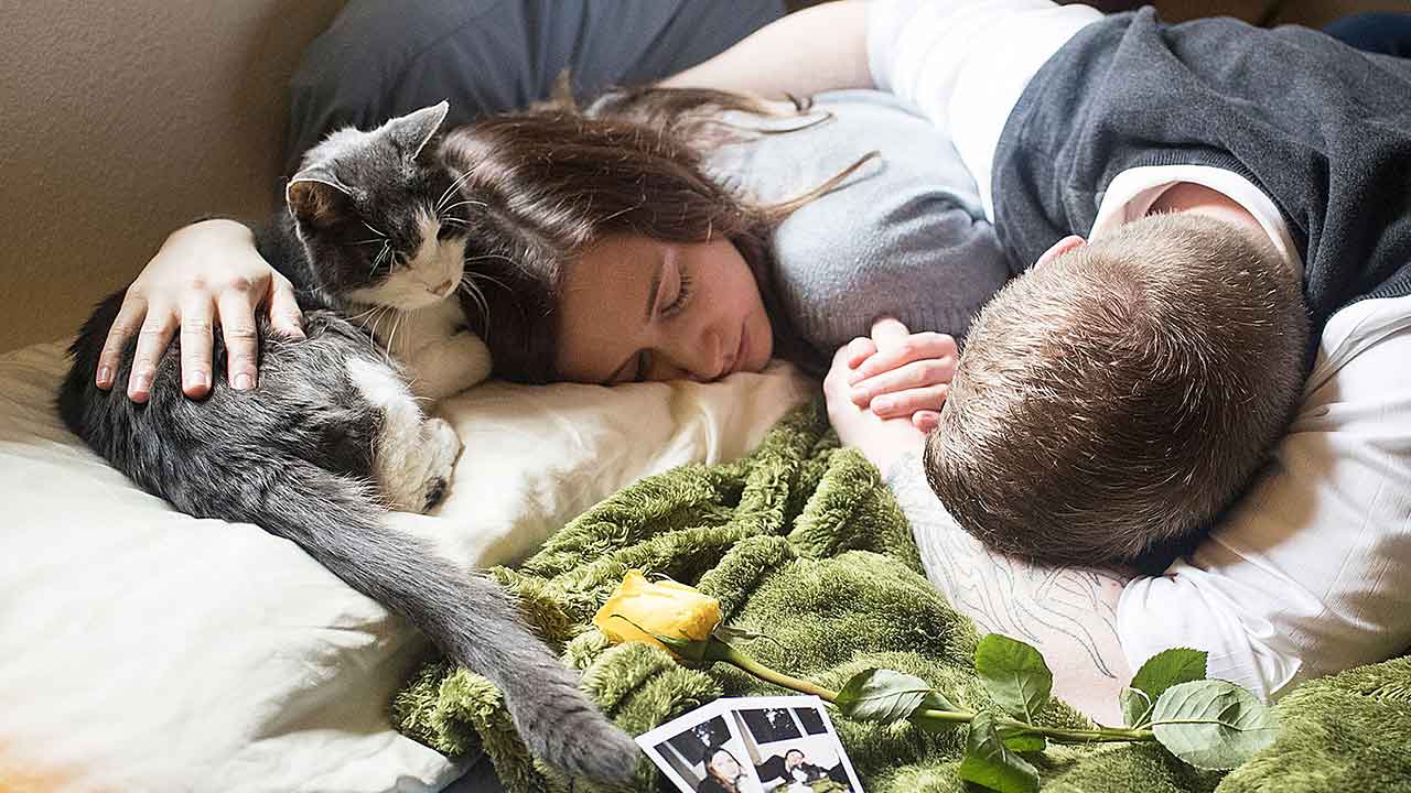 AHELP Project - Photo of pet family laying on bed with gray senior cat, photo credit: Julie Austin Photography.