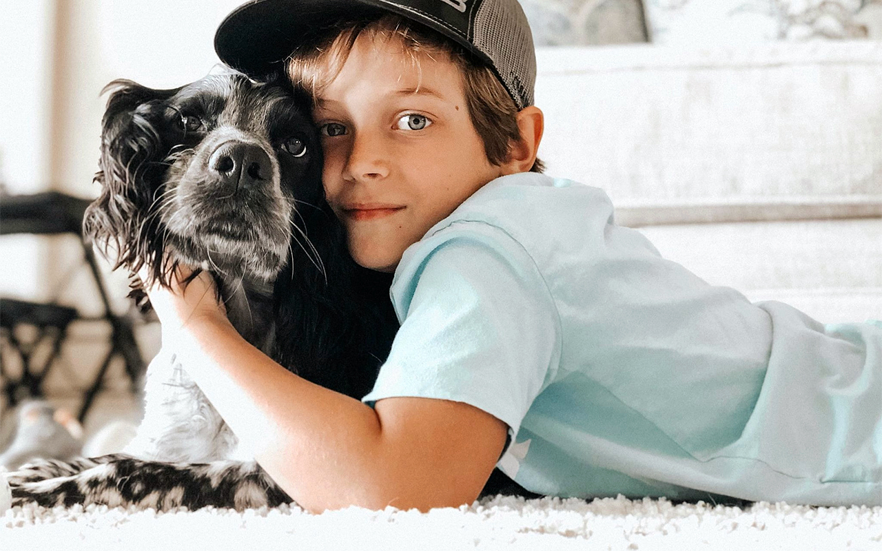 Photo of young boy hugging senior dog, Springer Spaniel, laying on the carpet floor - planning is for the entire family.