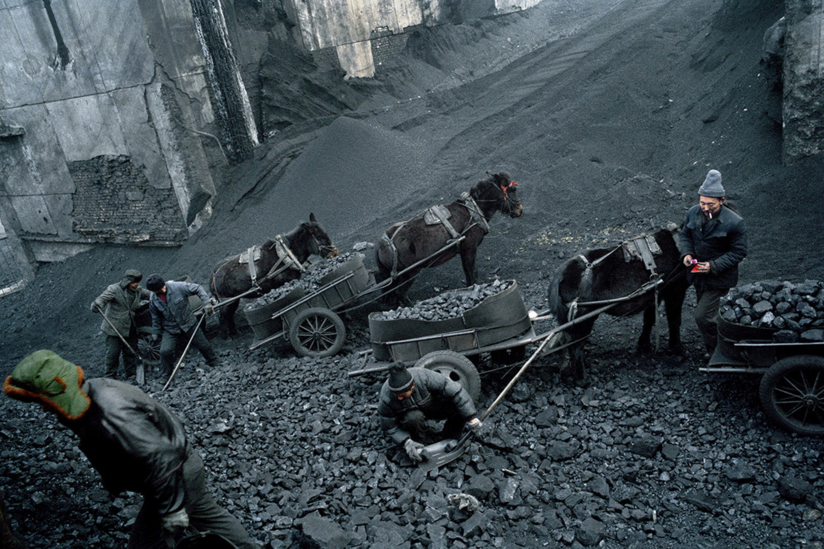 Coal workers with horse-drawn carts