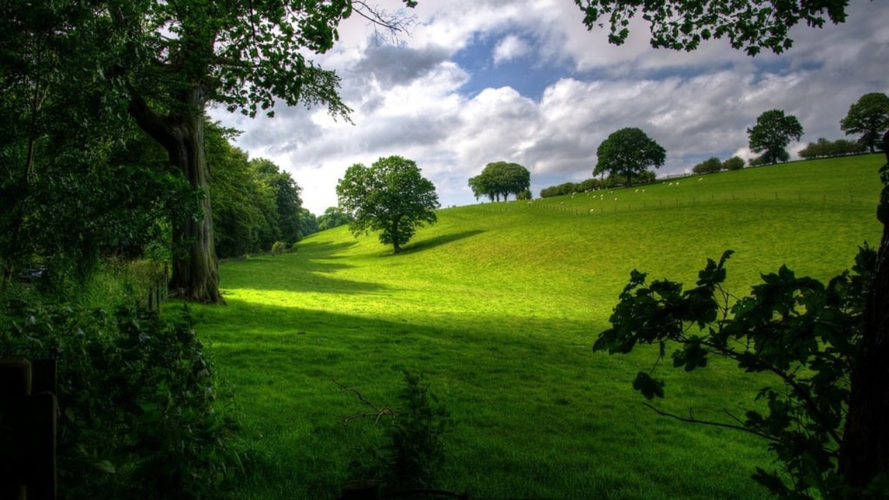 The green fields of the cotswolds