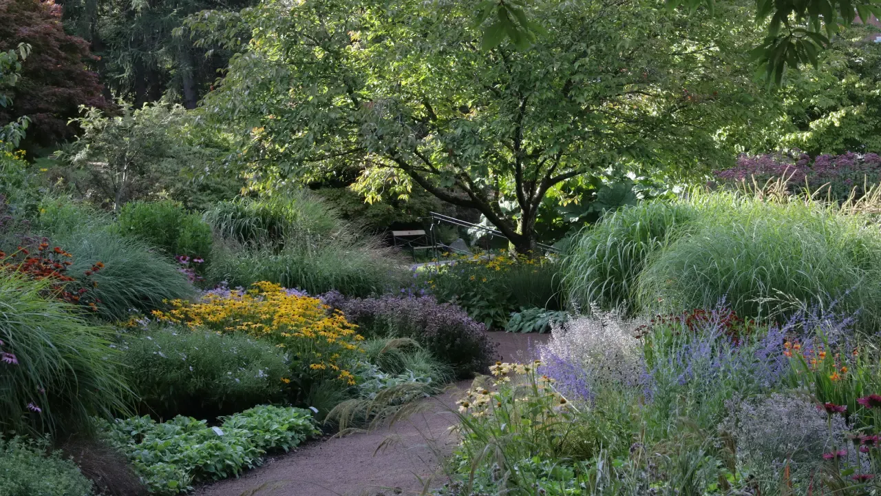 botaniska trädgården göteborg