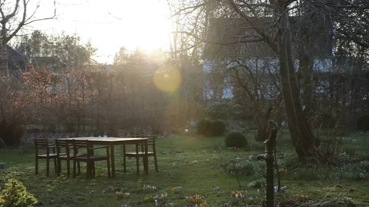 sittplats i trädgården