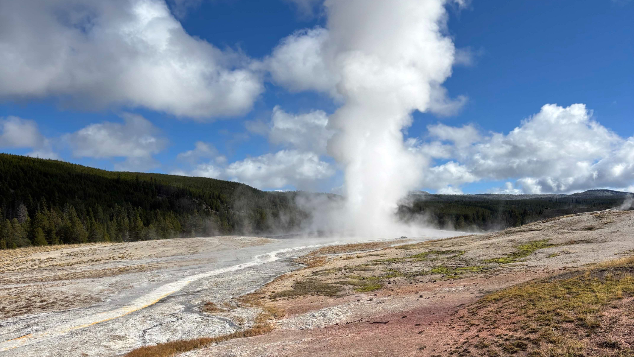 yellowstone national park