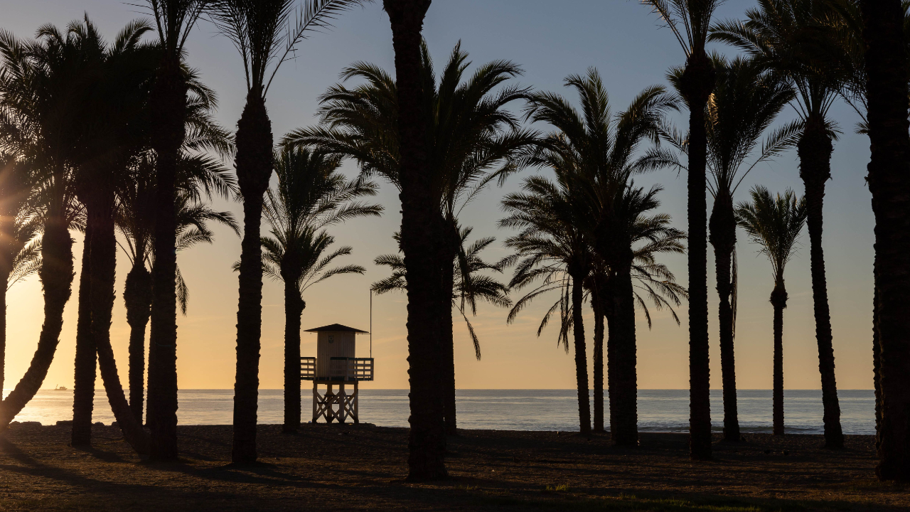 Palmer og finkornet sand og 20 grader på kveldene kan friste mer enn norske gråværsdager for mange