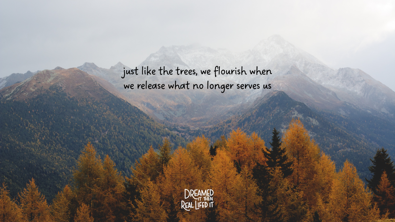 Dreamed It Then Real Lifed It podcast, image of misty mountains in background with fall colored trees in foreground and text "just like the trees, we flourish when we release what no longer serves us"