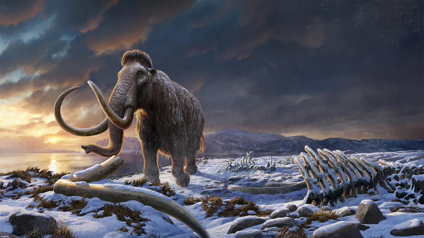 Pleistocene Park