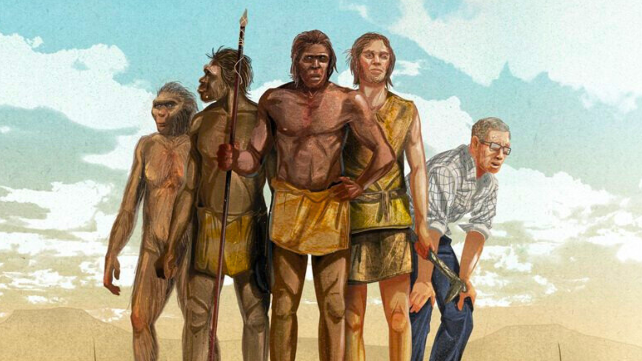 Human Evolution