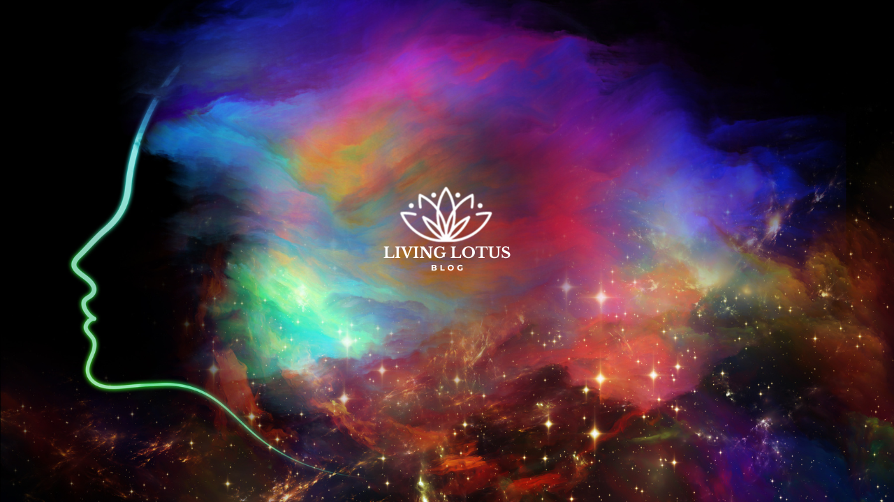 woman head with multi colors