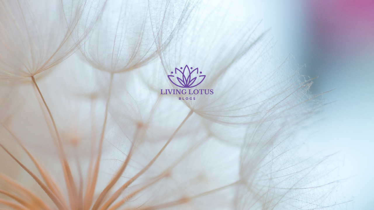 pale flower with lotus logo