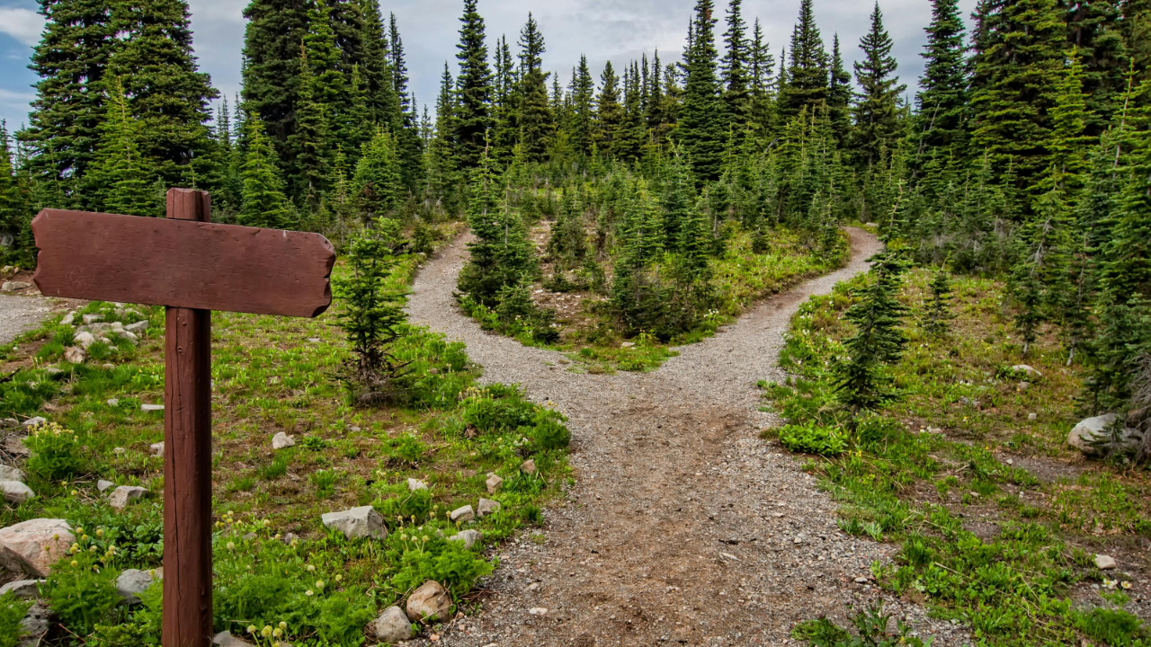 how to quit the military