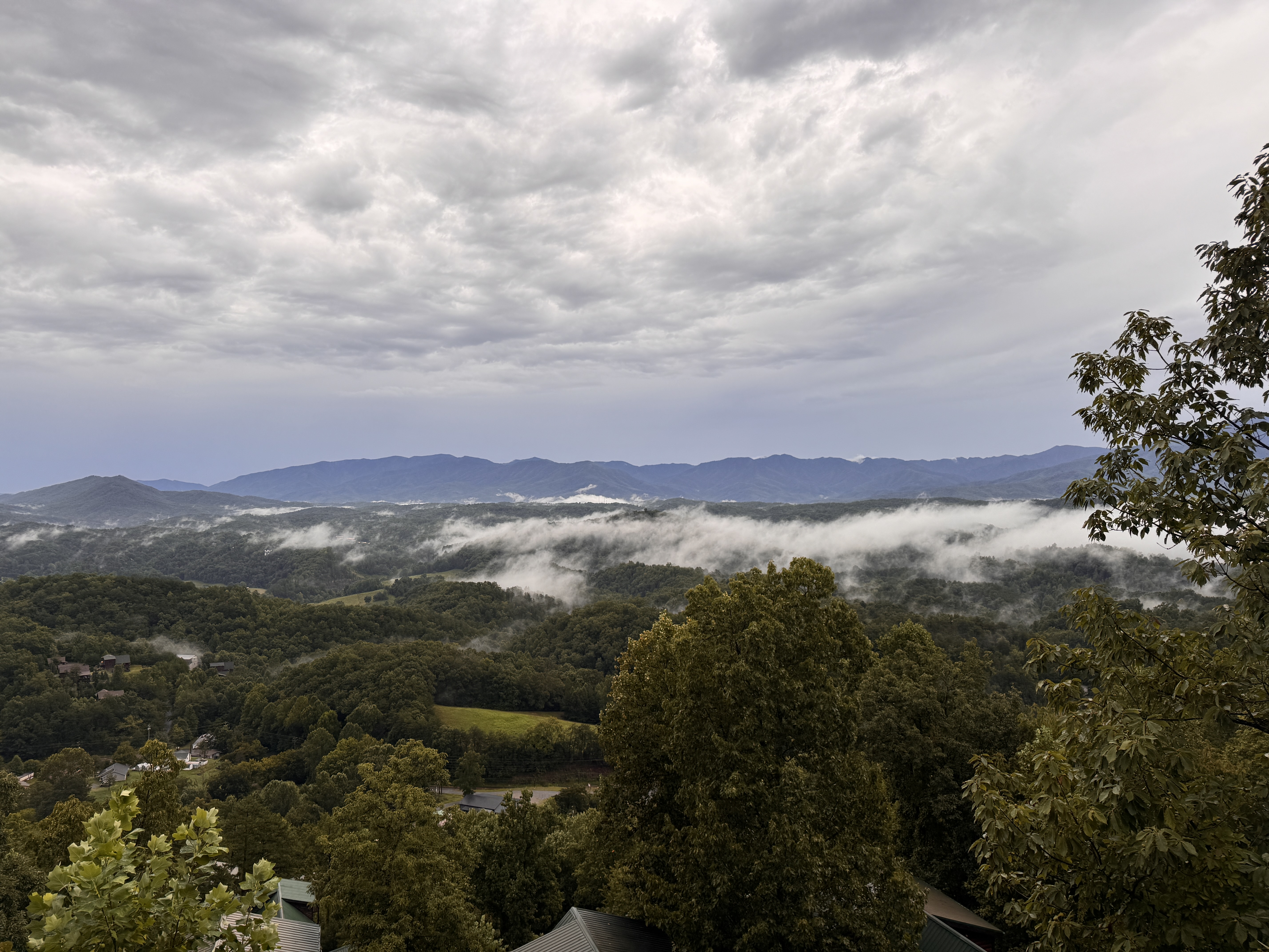 Low clouds moving through the foothills of Great Smoky Mountains National Park near Sevierville, Tennessee