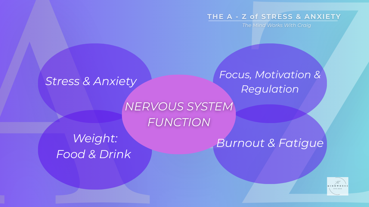 A clean teal and purple graphic titled “The A–Z of Stress & Anxiety” showing overlapping themes including Stress & Anxiety, Burnout & Fatigue, Weight: Food & Drink, and Focus & Regulation, centred around Nervous System Function.