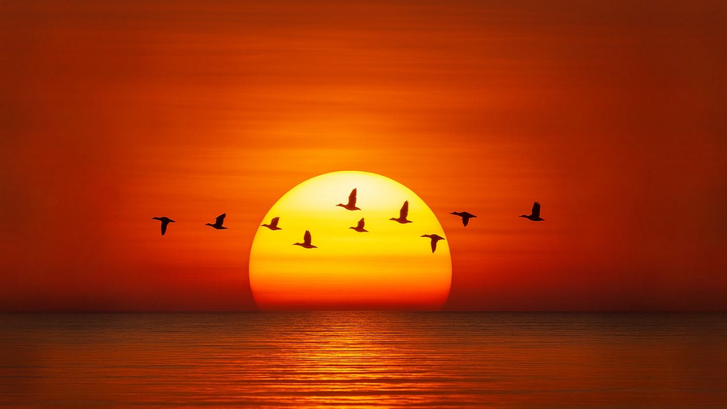 Why on the Solstice & Equinox