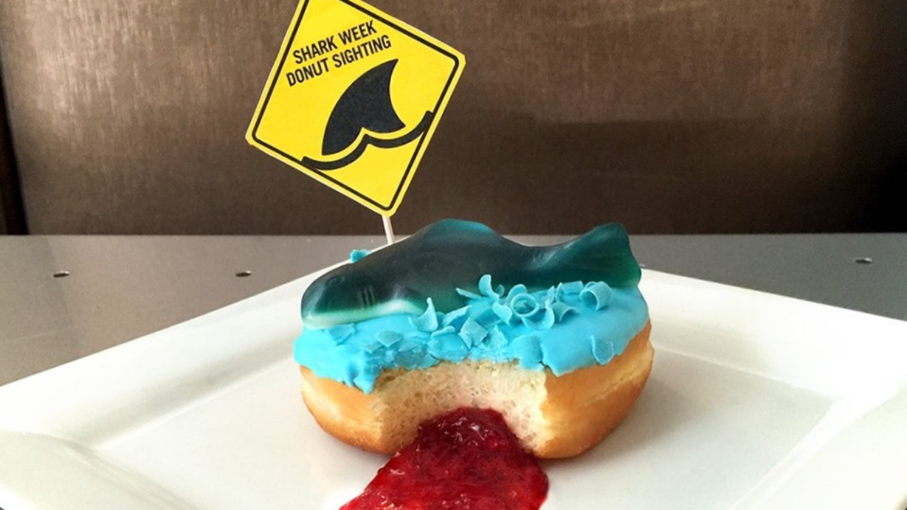 What the Church can learn from Sharkweek
