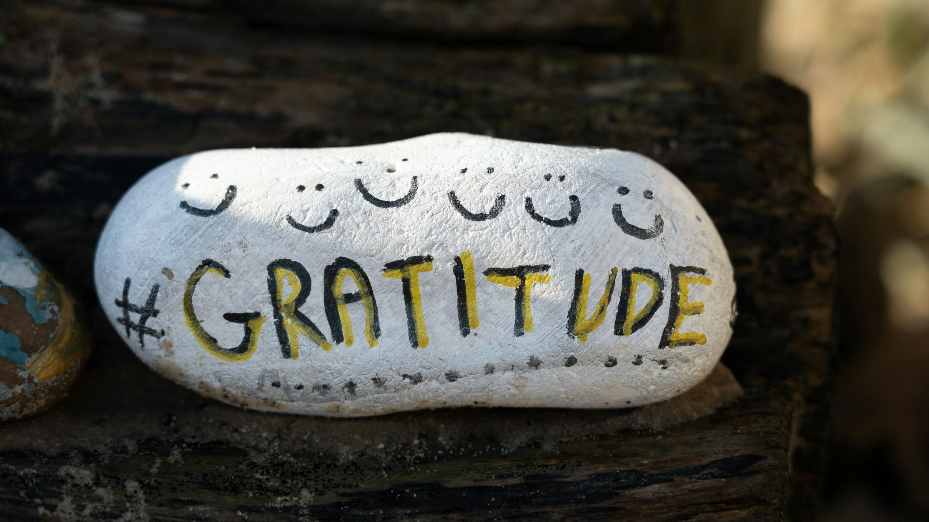 Why thankfulness spreads farther, lasts longer, and changes more lives than you can imagine