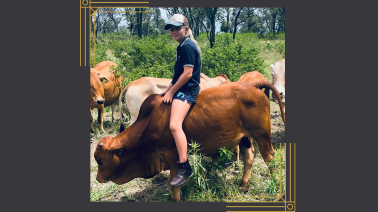 When Your Daughter Rides a Bull