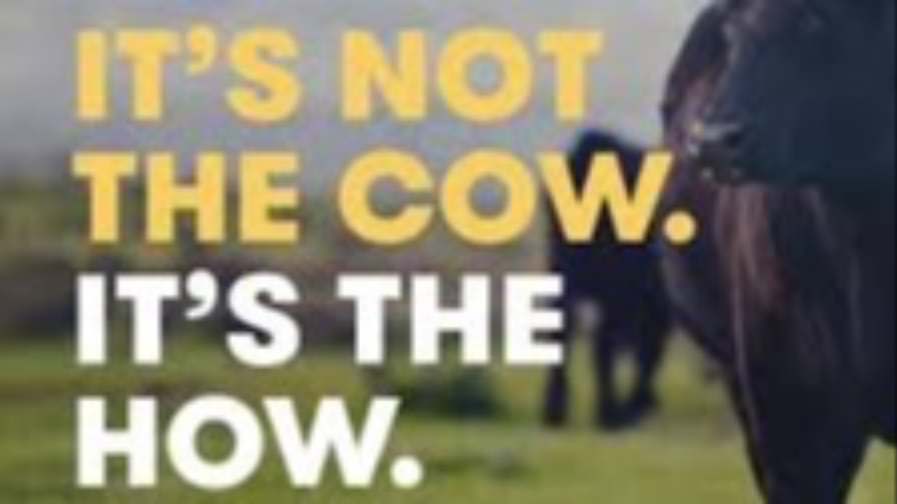 text that says "it's not the cow. it's the how." 