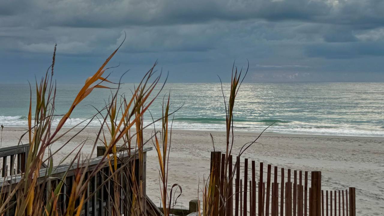Beach Yoga Topsail Island with Yoga With Fidel