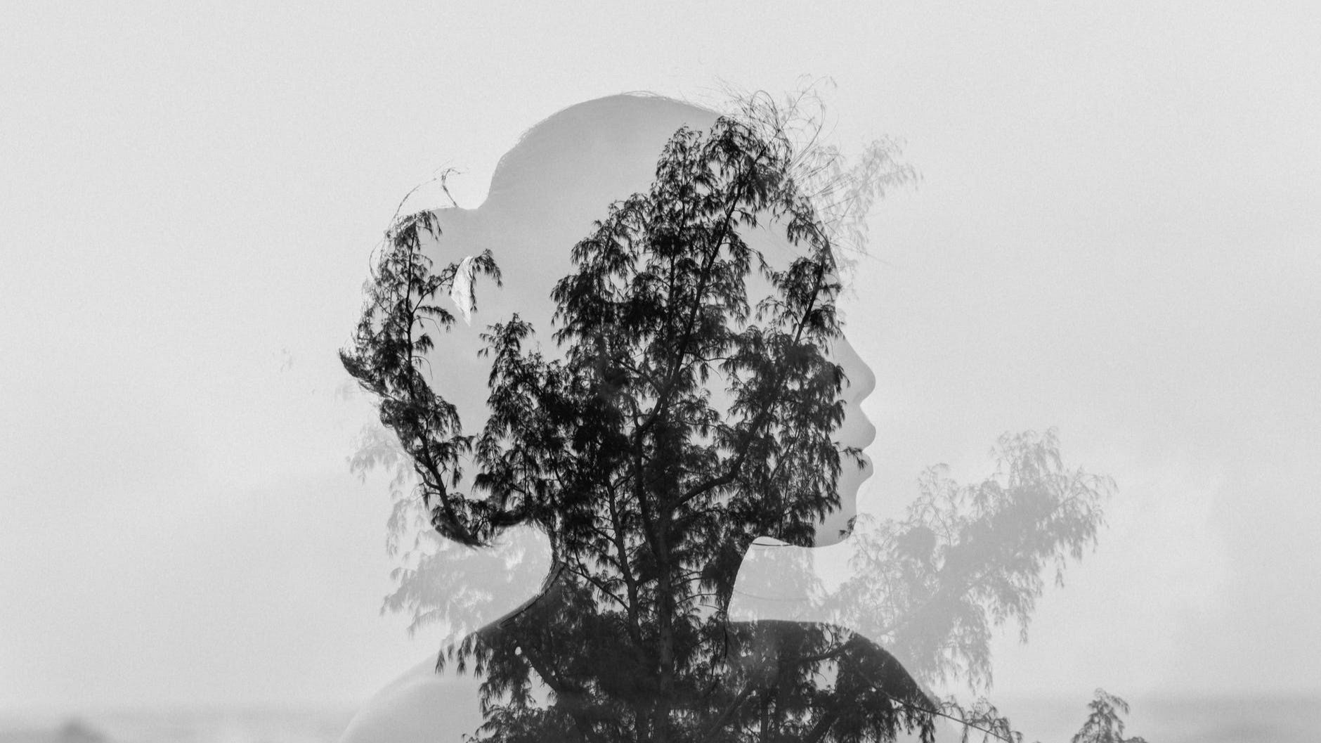Women silhouette reflected in window with trees