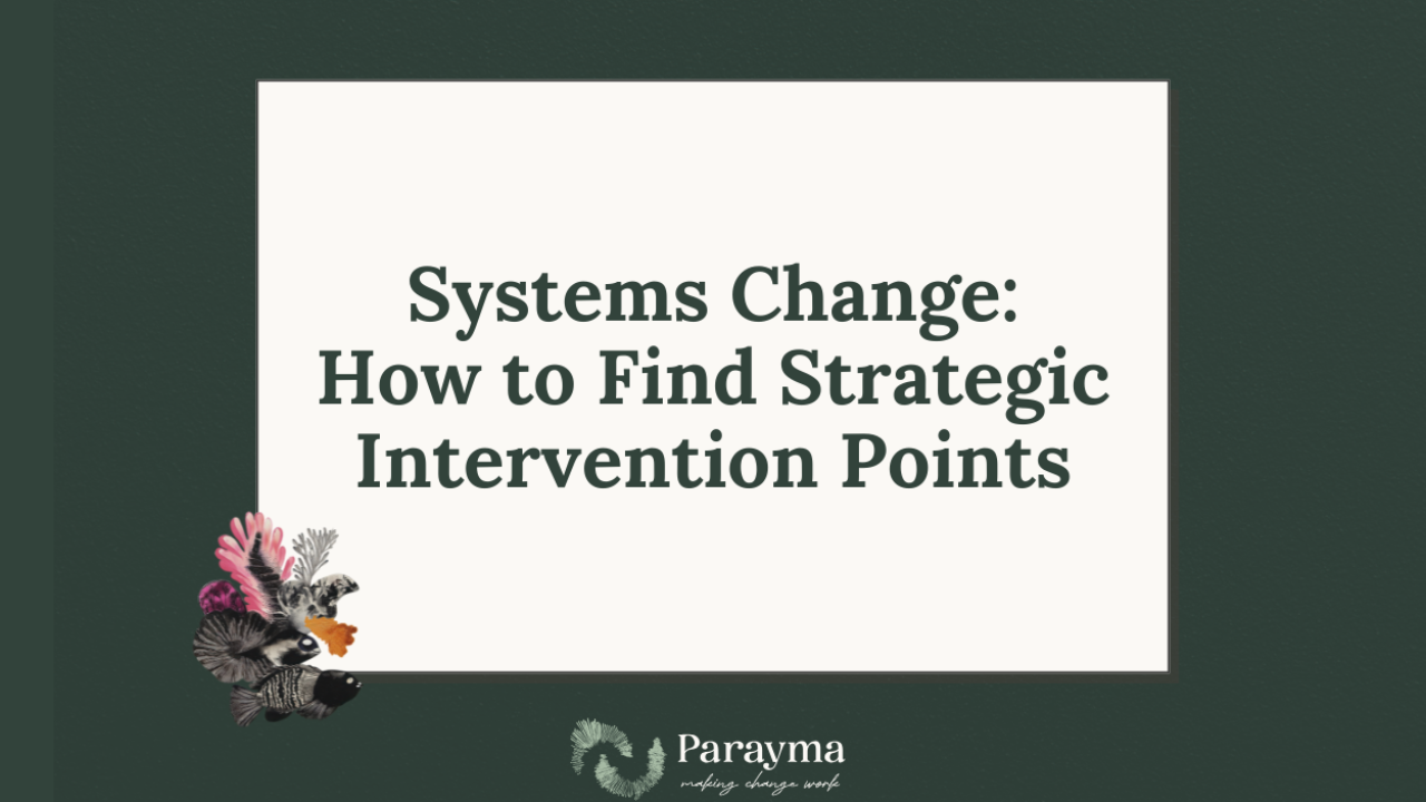 how to find strategic intervention points in systems change work