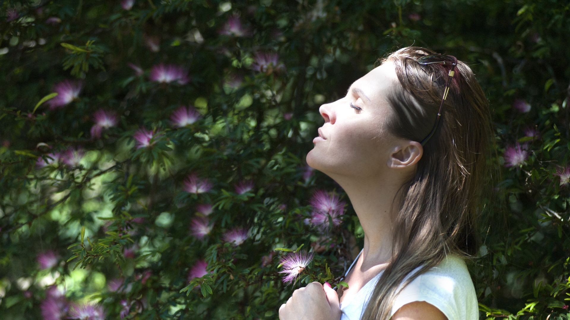 Highly Sensitive People