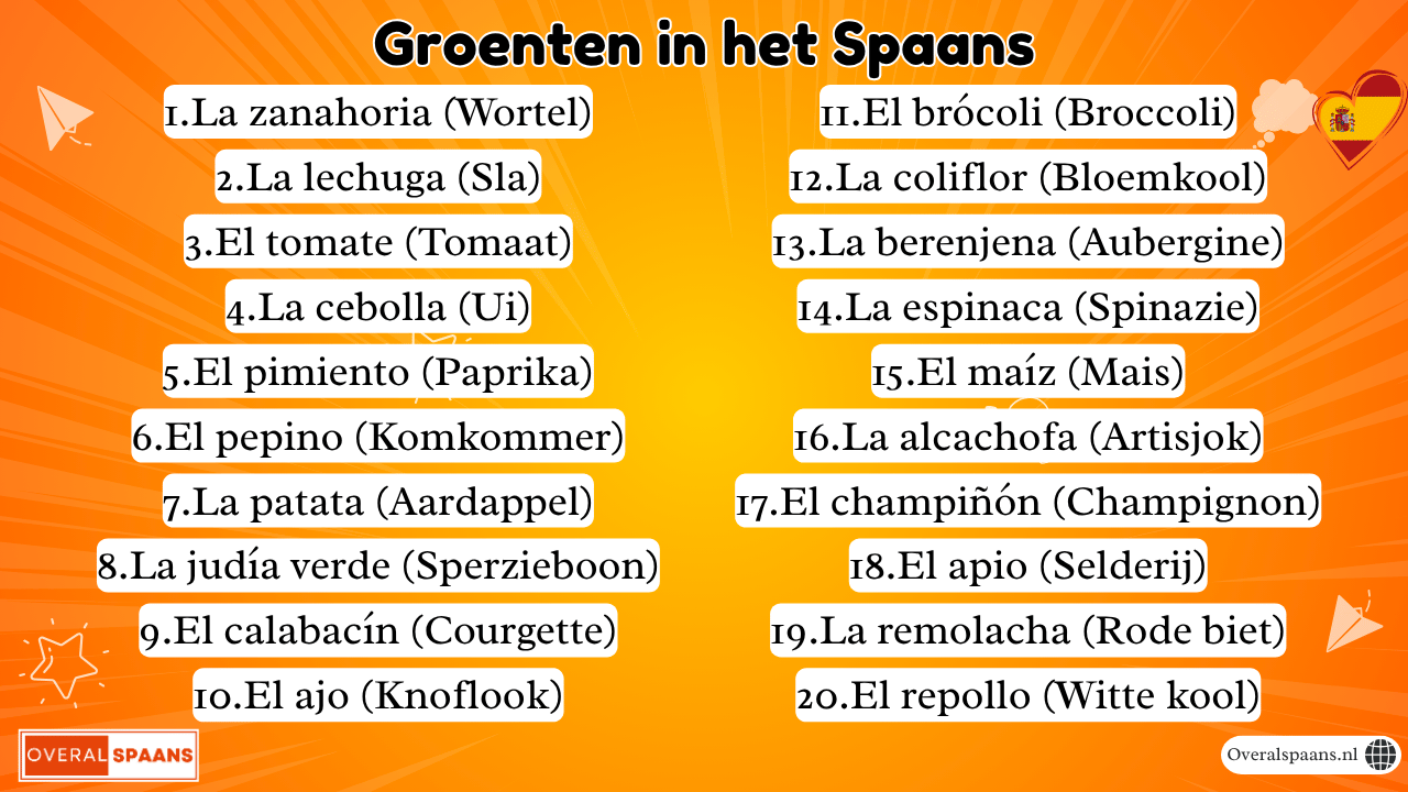 Overzicht van 20 groenten in het Spaans met vertaling: la zanahoria (wortel), la lechuga (sla), el tomate (tomaat), la cebolla (ui), el pimiento (paprika), el pepino (komkommer), la patata (aardappel), la judía verde (sperzieboon), el calabacín (courgette), el ajo (knoflook), el brócoli (broccoli), la coliflor (bloemkool), la berenjena (aubergine), la espinaca (spinazie), el maíz (maïs), la alcachofa (artisjok), el champiñón (champignon), el apio (selderij), la remolacha (rode biet) en el repollo (witte kool).