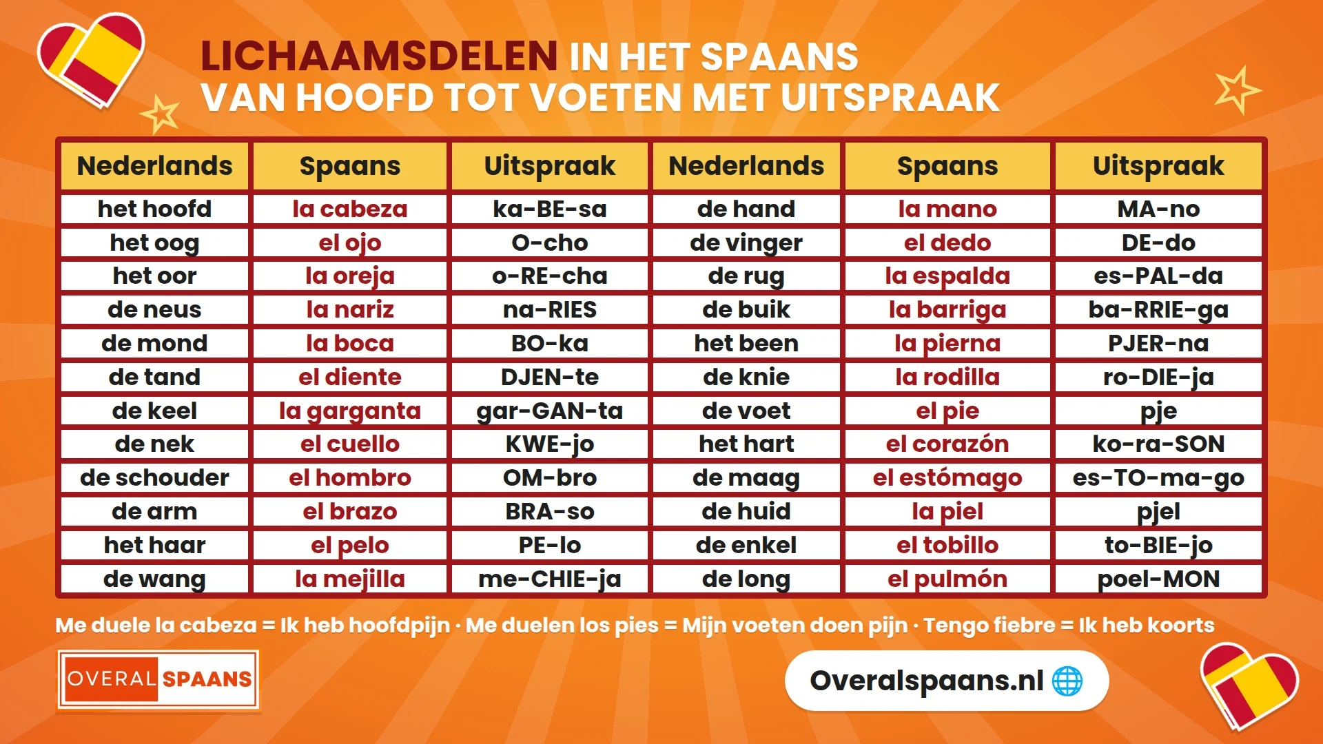 Infographic lichaamsdelen in het Spaans: hoofd, armen, benen en organen met uitspraak en me duele