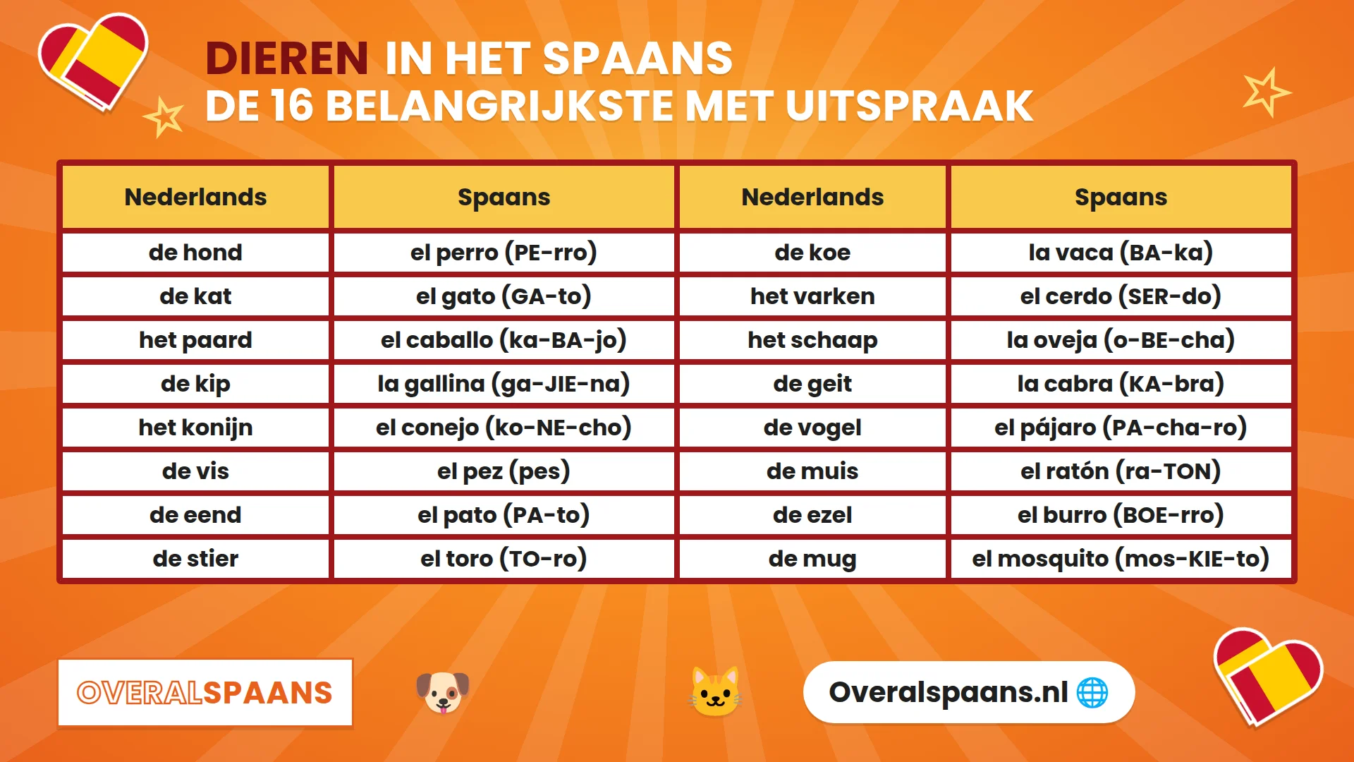 Infographic dieren in het Spaans: hond, kat, paard, kip en 20 andere dieren met uitspraak
