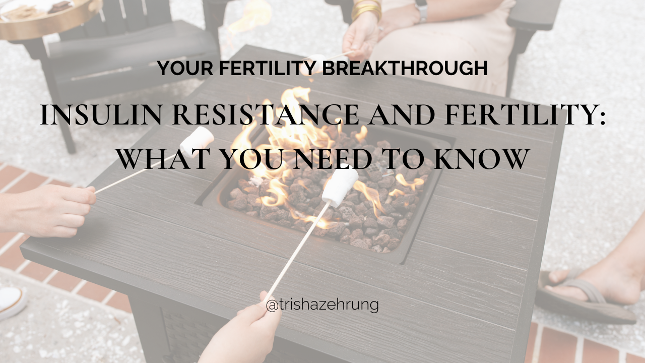 Insulin Resistance and Fertility: What You Need to Know
