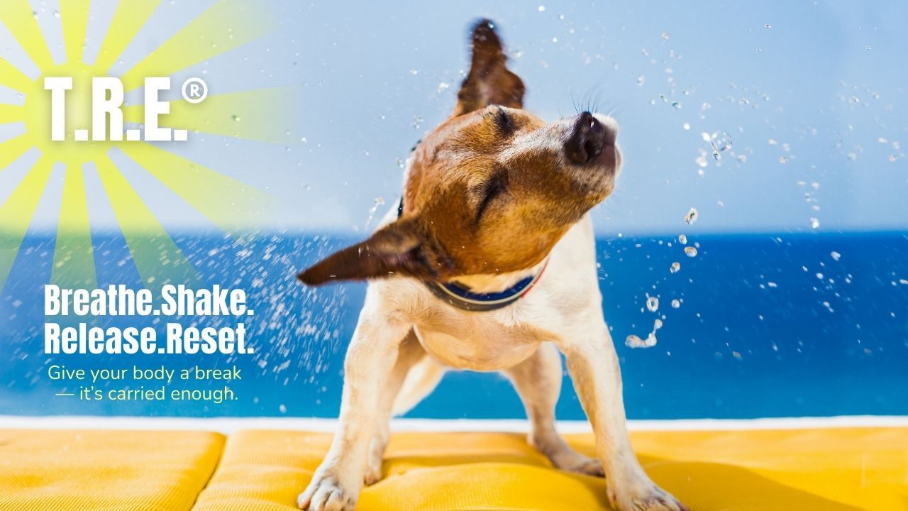 TRE Dog Shaking Water Off