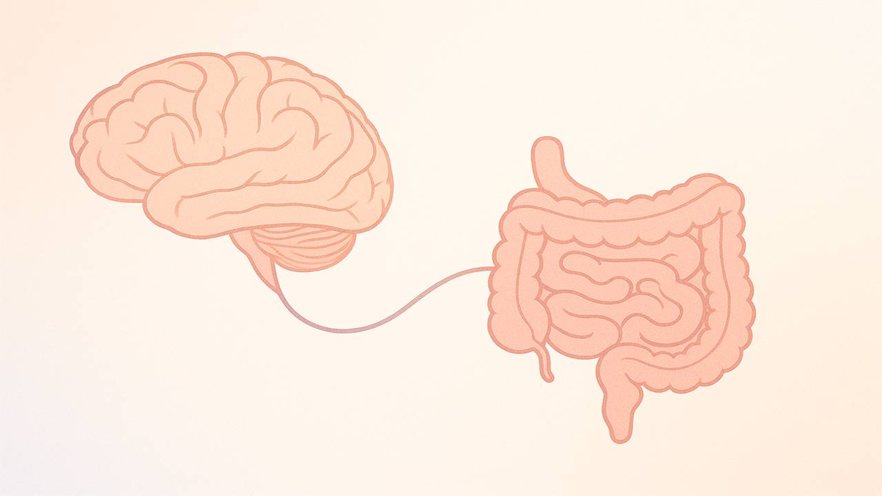 Ny RCT i Lancet viser at hypnose kan gi varig symptomlettelse ved IBS.
