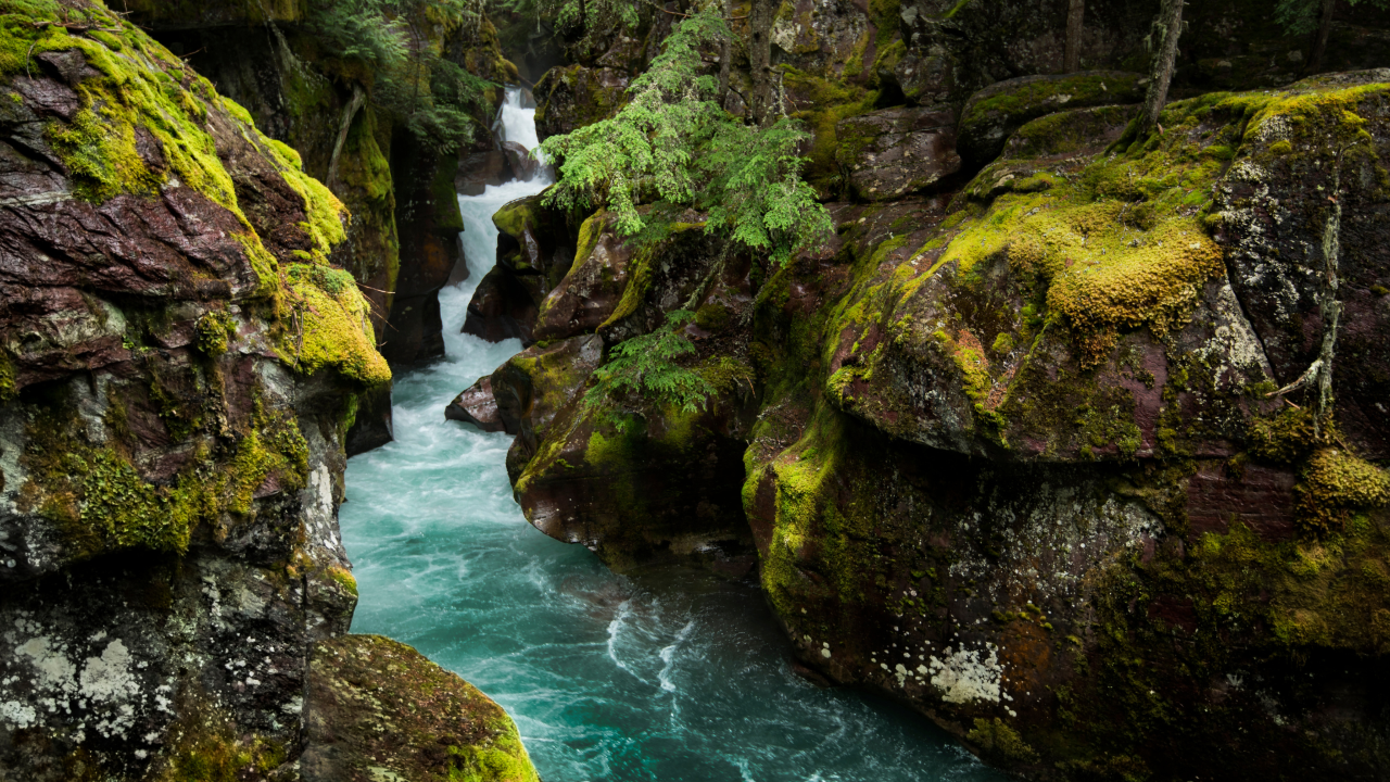 Vibrant Turquoise River Carving Through a Mossy Forest Gorge.