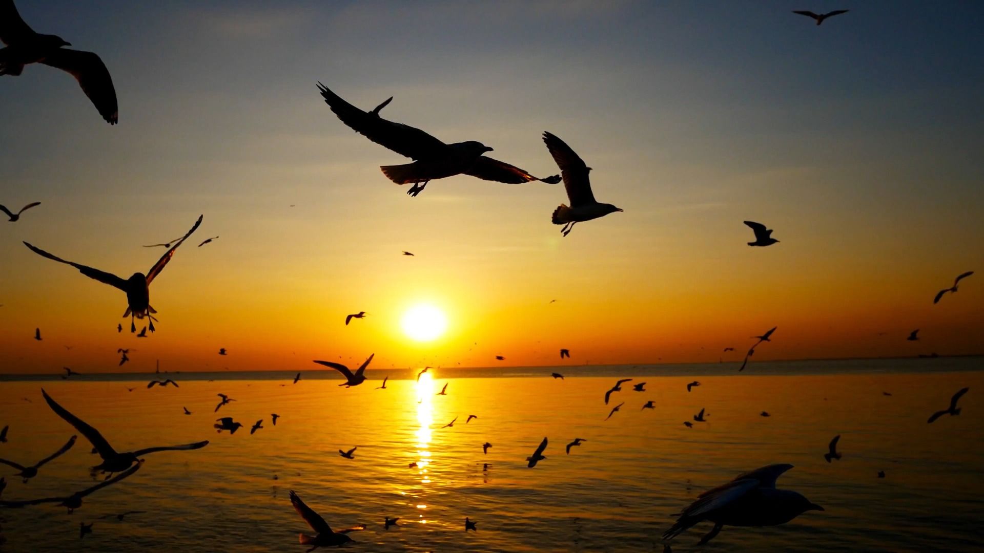 Prenons conscience des jugements