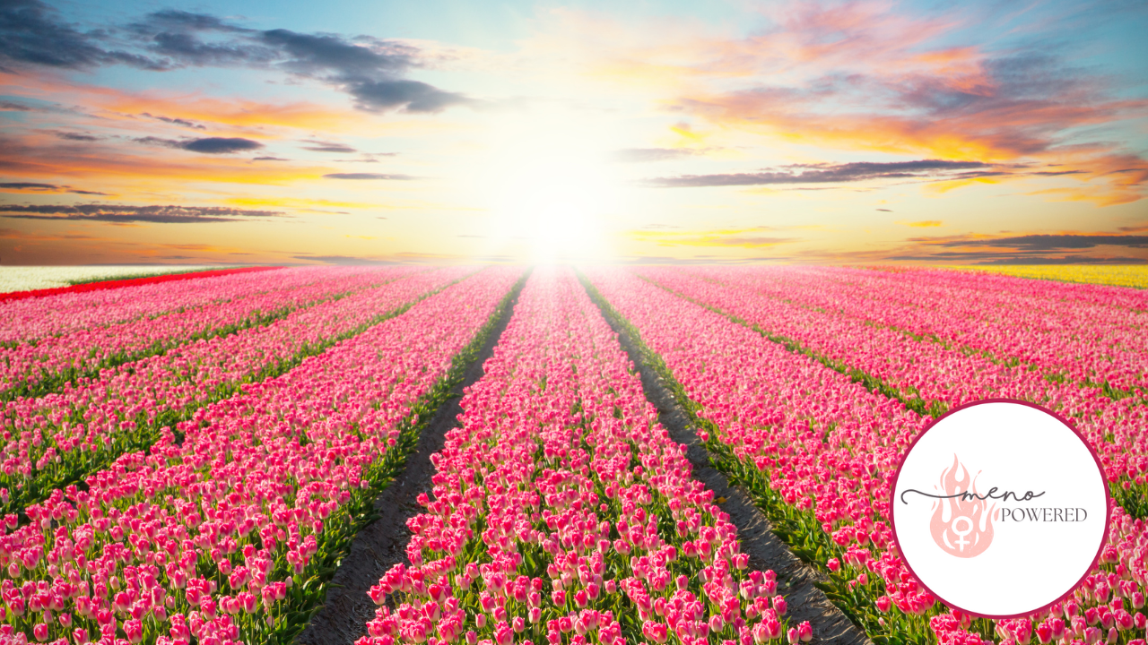 menopause health risks, untreated menopause, perimenopause symptoms, osteoporosis menopause, heart disease menopause, menopause masterclass, Thrive Method  Newsletter Blurb: