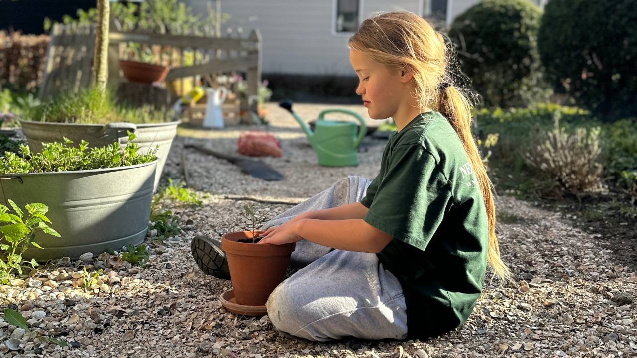 Meis tuin olijfboom kinderen 