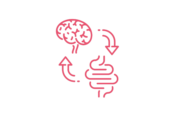 脳と腸の図