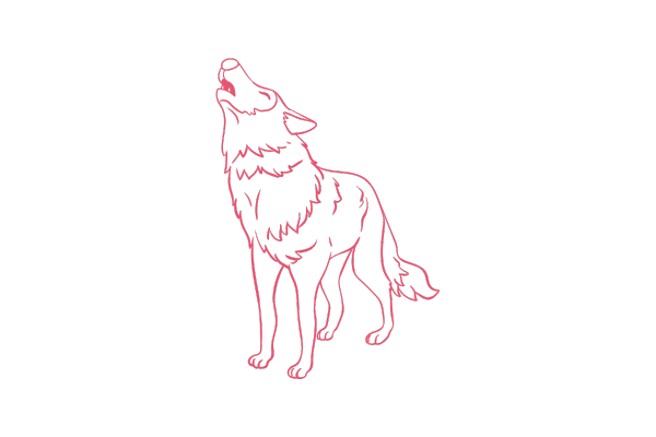 1匹の狼のイラスト