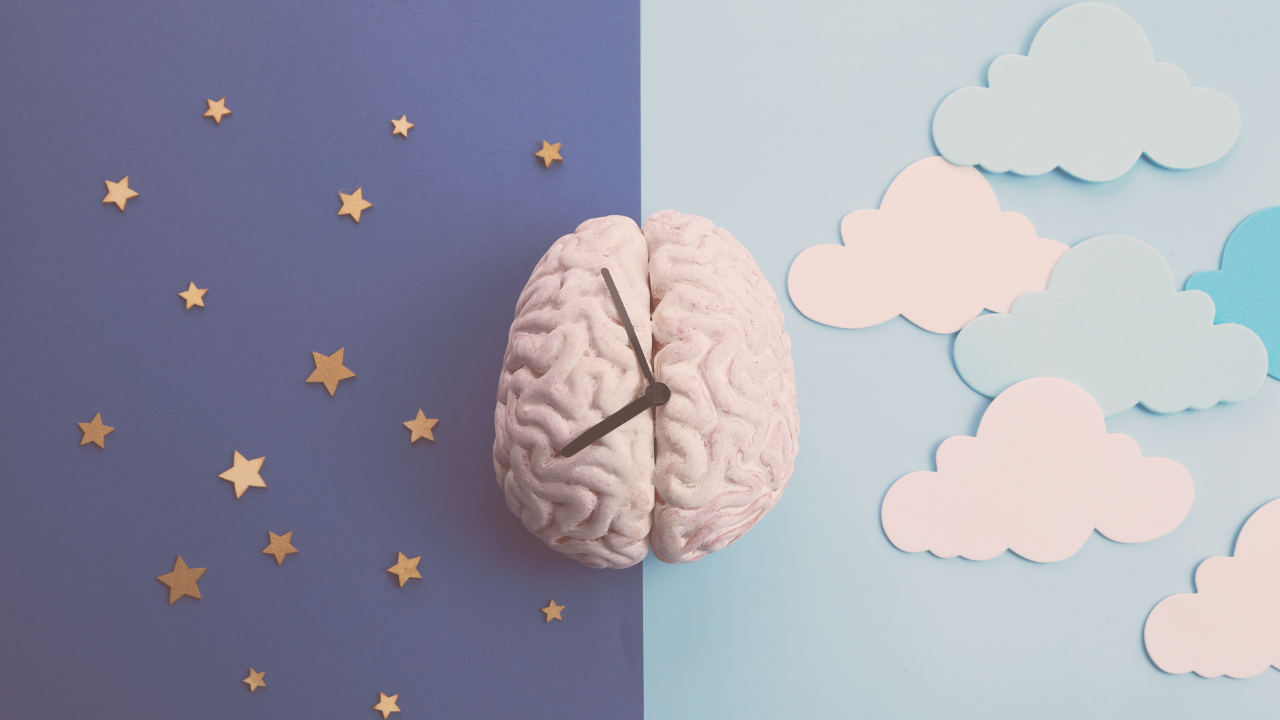 a visual showing melatonin affect on the brain