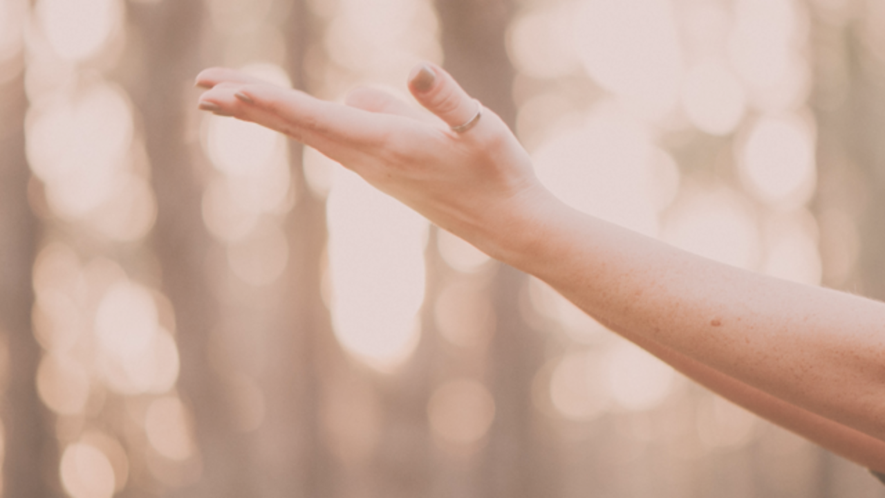 someone raising their hand (palm up) in nature