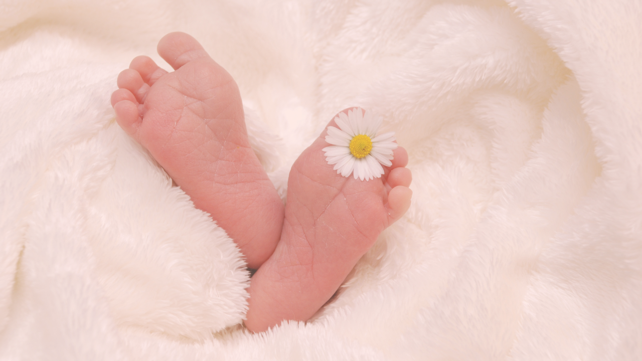 a baby's feet with a daisy in between its toes