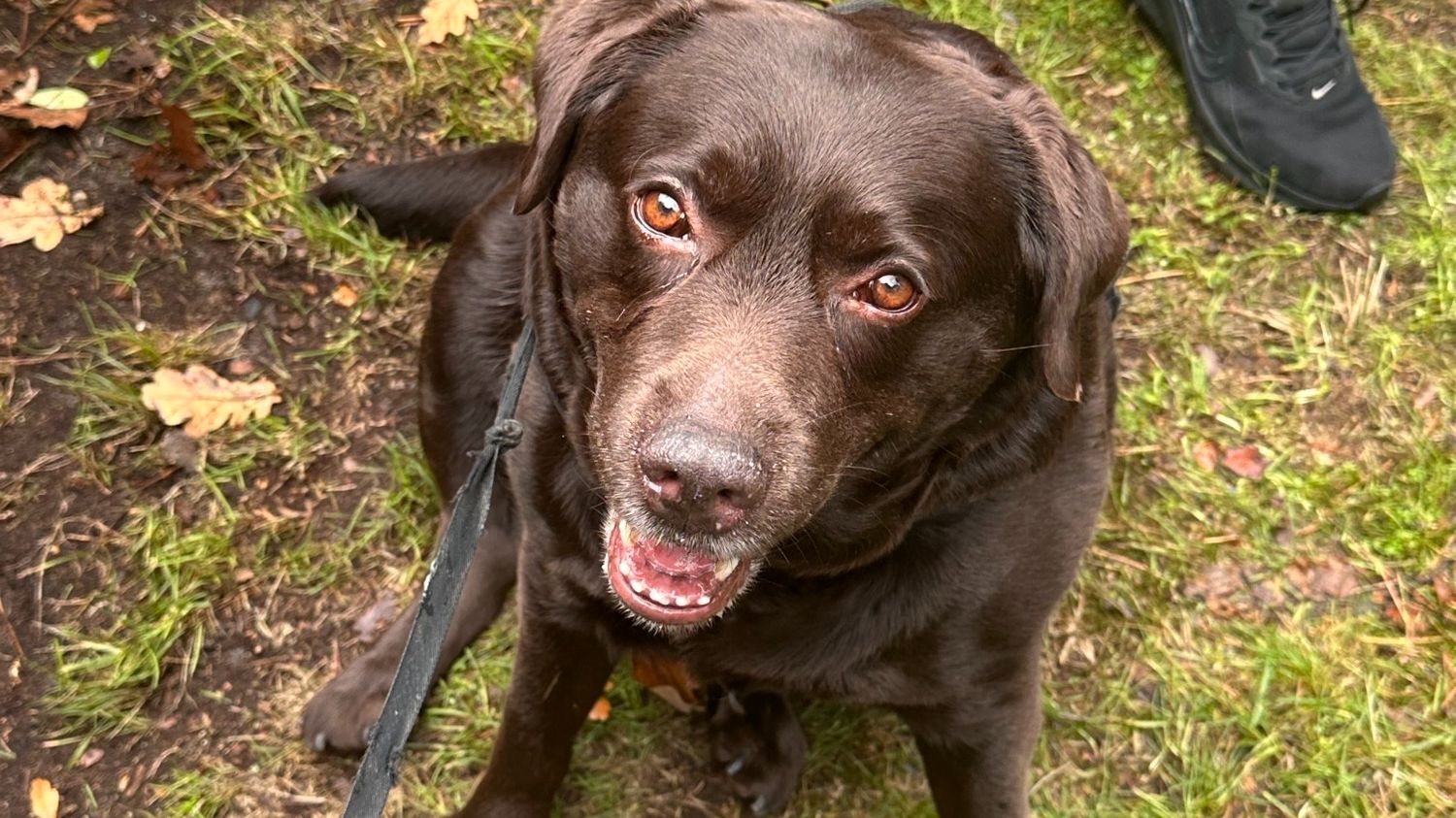 Michelle Reade Coaching