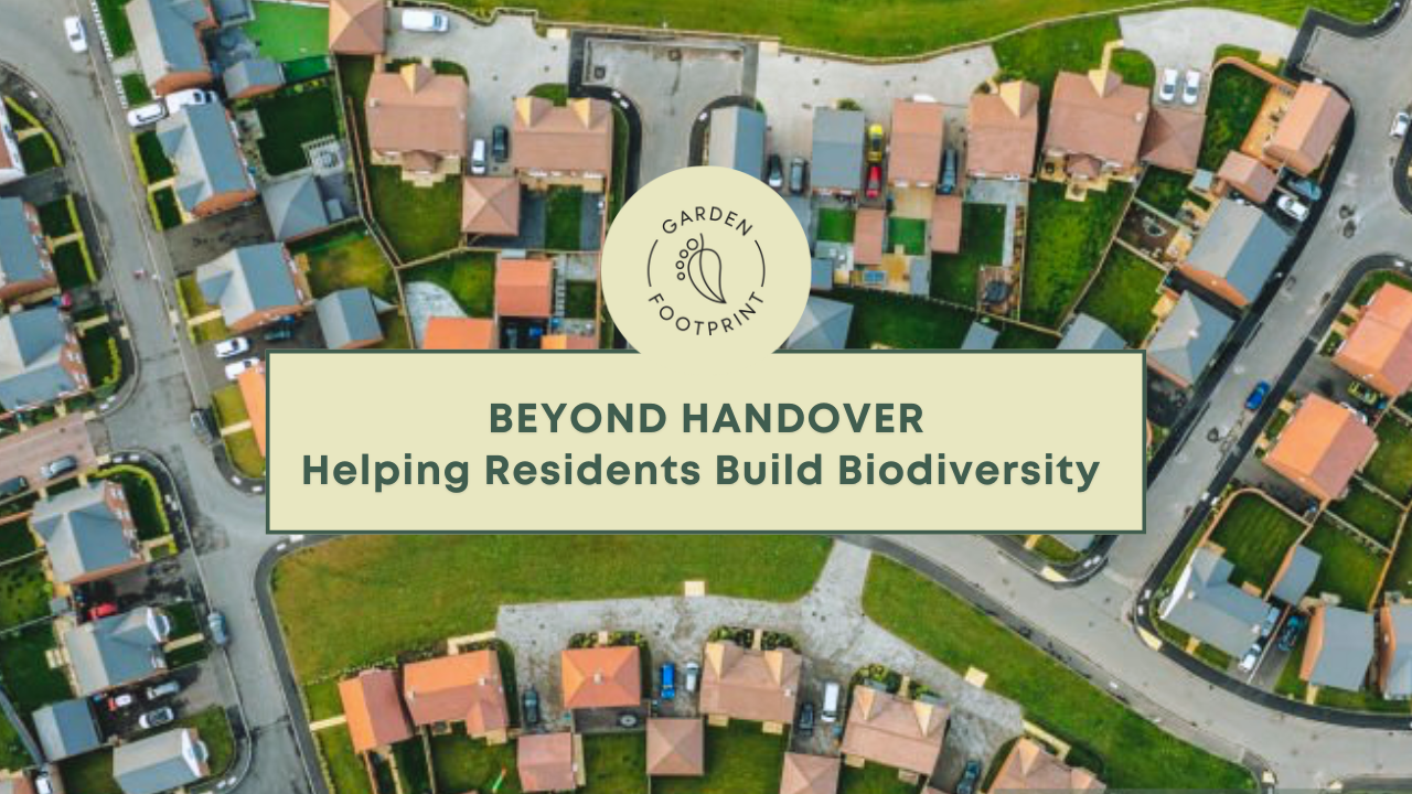 A biodiverse newbuild garden