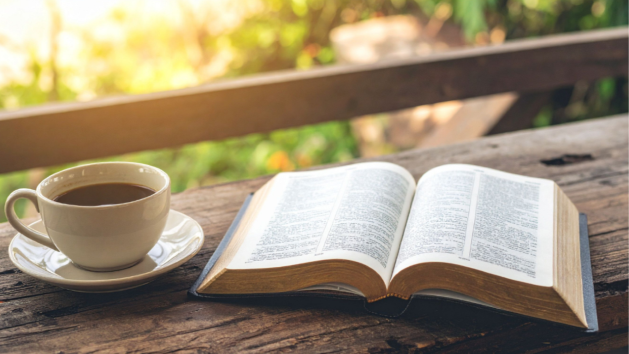 A bible and a cup of coffee on a bench with the morning sun glowing in the background depicting a beautiful place to study God's Word.