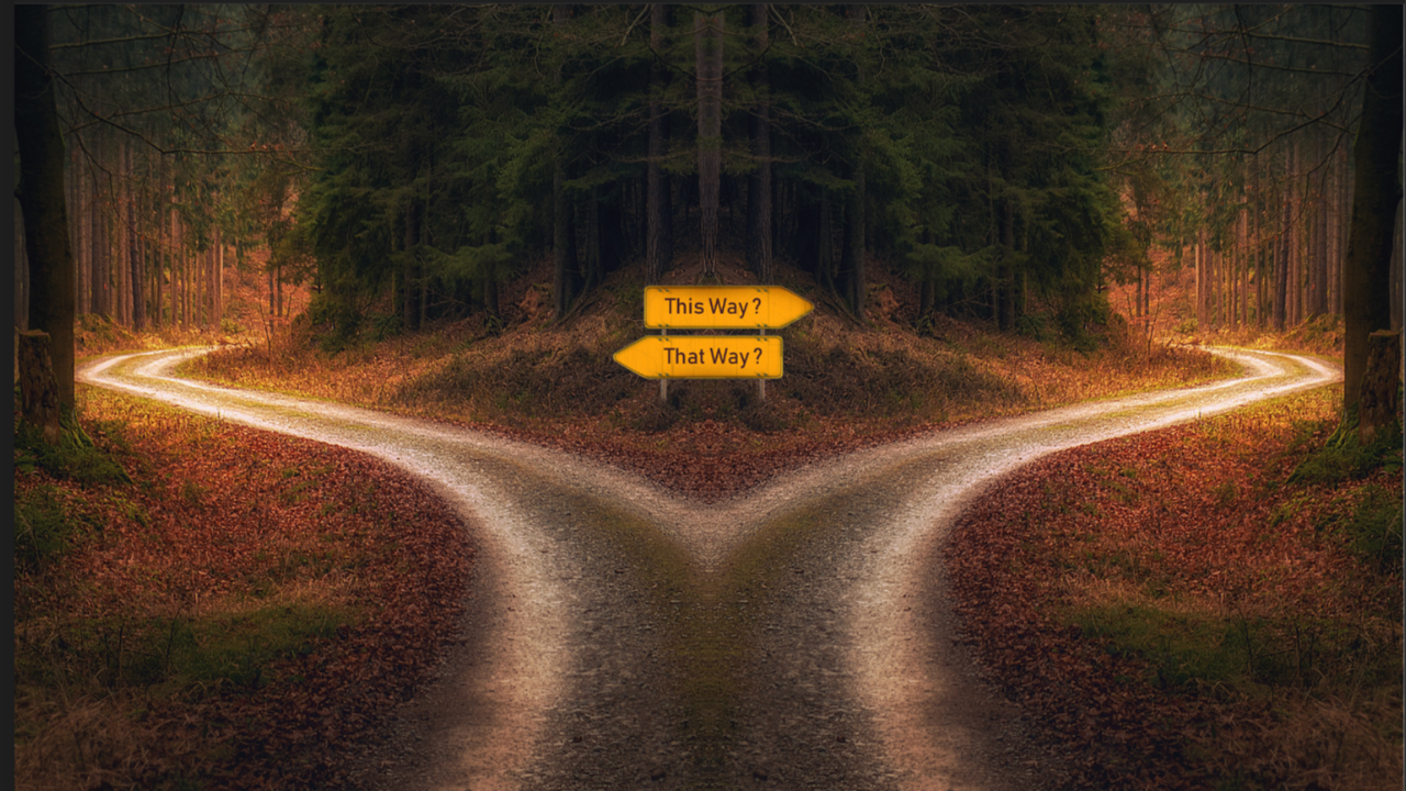 Randy King — recognizing the type of violence before choosing your strategy