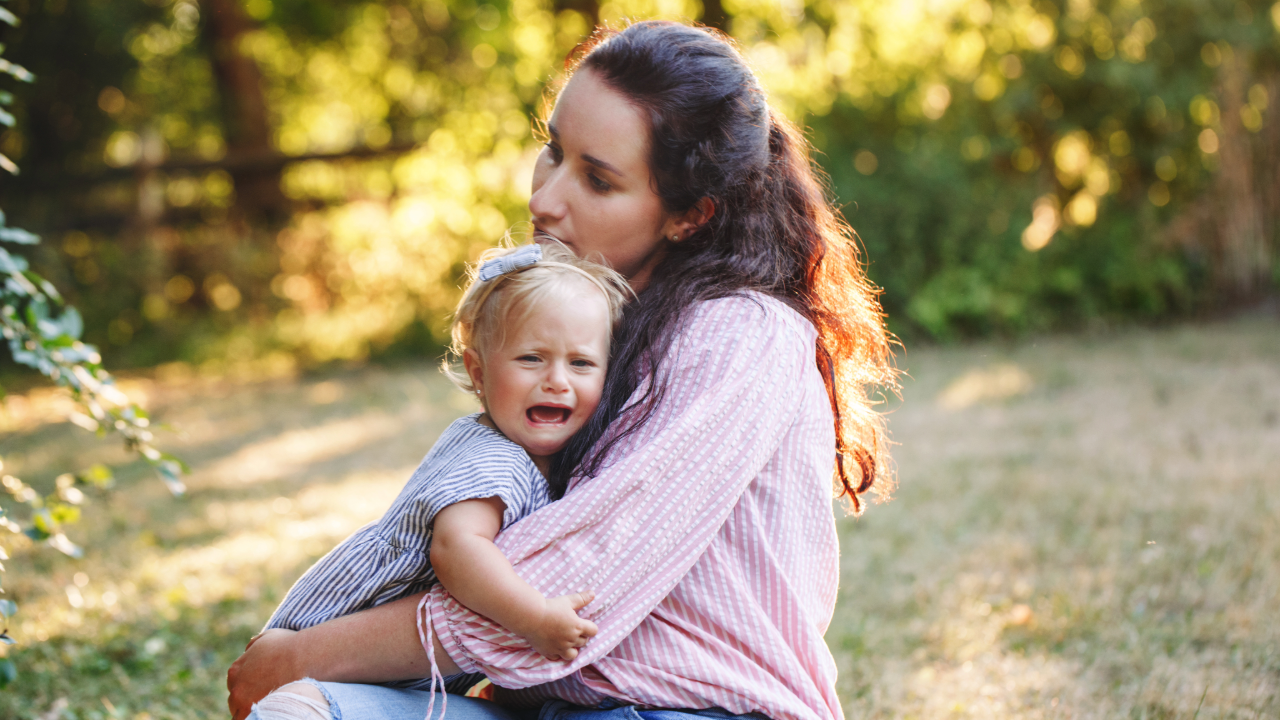 A parent sits on the grass holding and comforting a crying toddler outdoors in a sunlit, natural setting.