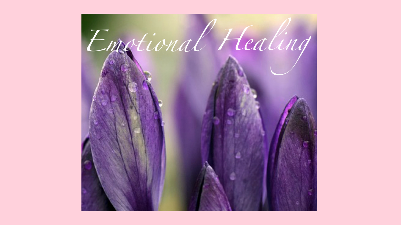 Journal with daisies on it