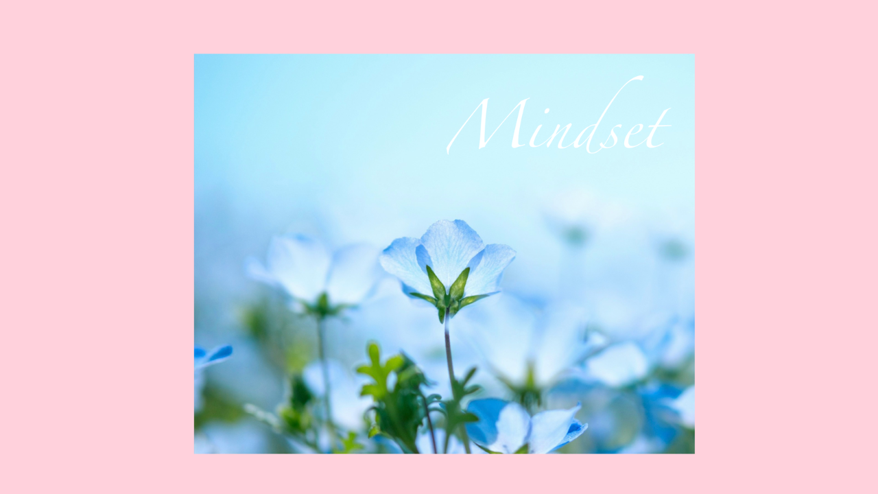 flower with a shadow