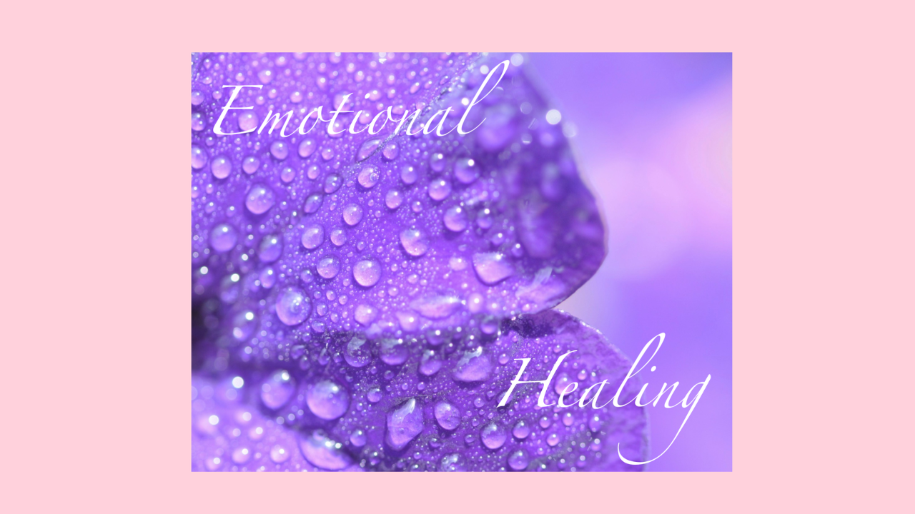 flower against dark background