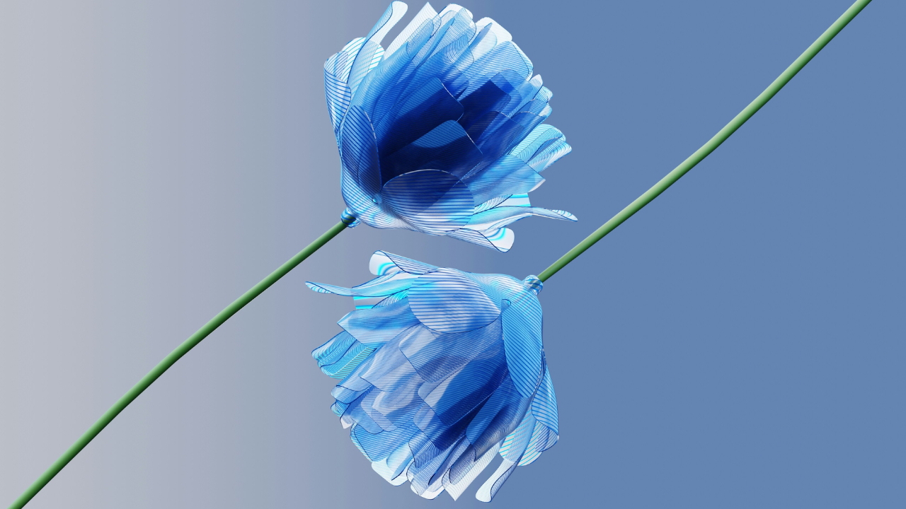 bird staring at reflection