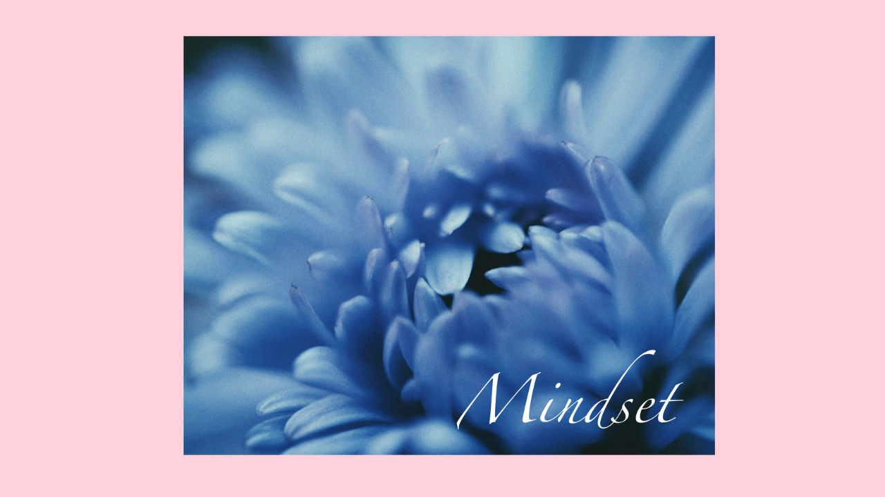 bird staring at reflection